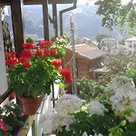 солакови ** 4*