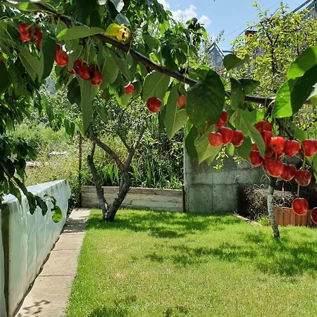 солакови ** Maison d'hôtes