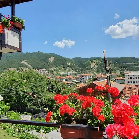 солакови ** ゲストハウス