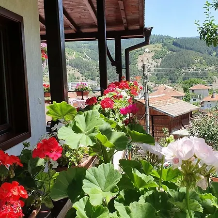 Maison d'hôtes солакови **