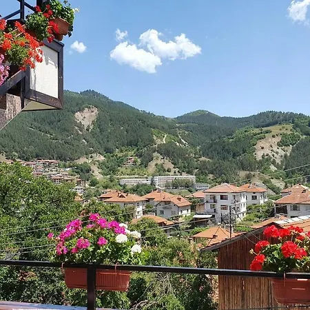 солакови ** ゲストハウス 4*