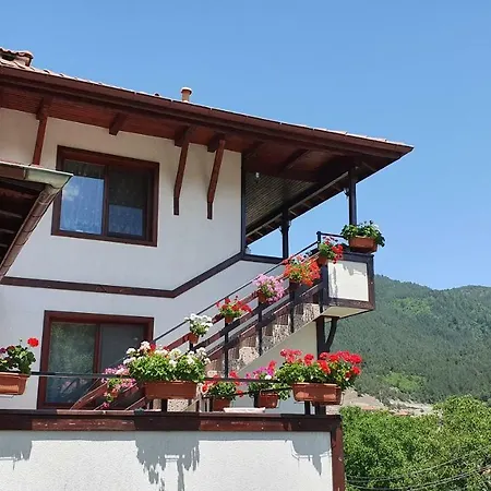 солакови ** 4* デヴィン