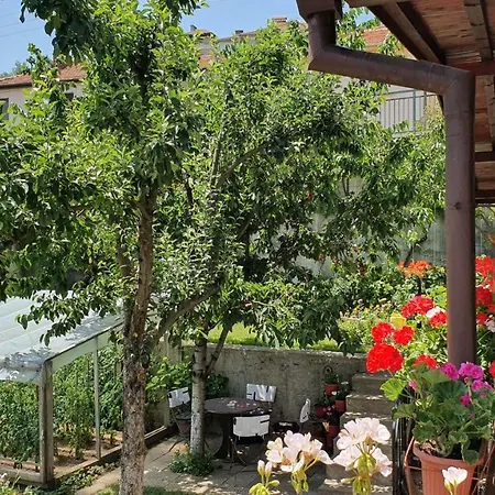 Maison d'hôtes солакови **