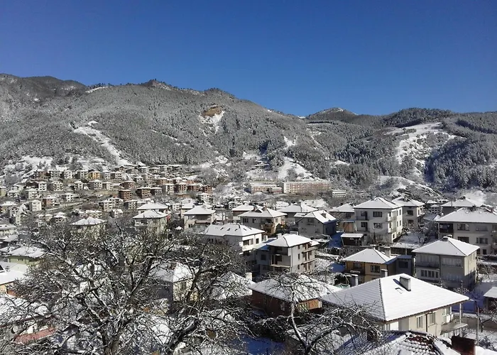 ゲストハウス солакови ** デヴィン