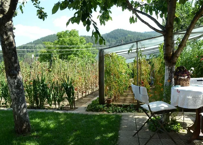 солакови ** ゲストハウス