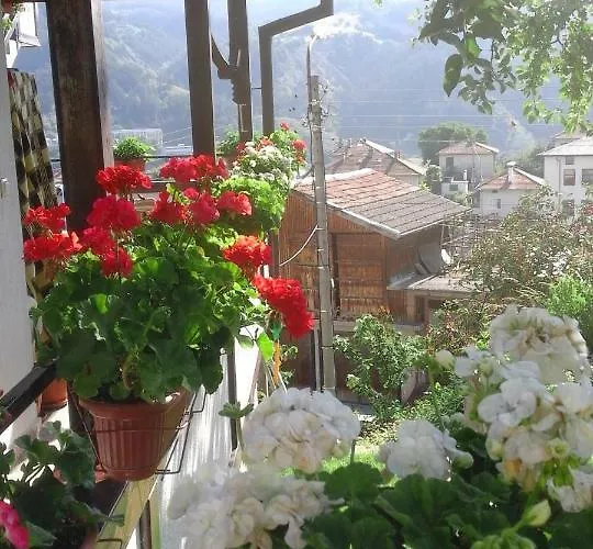 солакови ** 4*