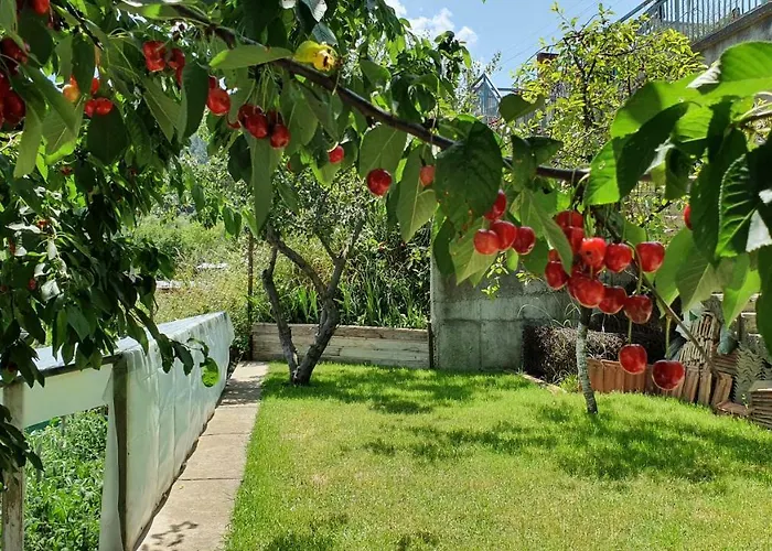 солакови ** ゲストハウス
