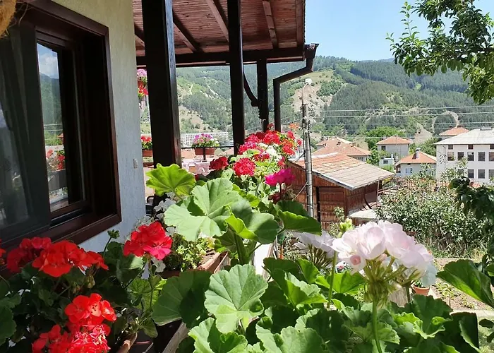 ゲストハウス солакови **