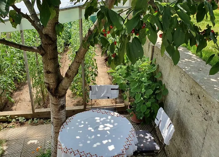 солакови ** ゲストハウス 4*