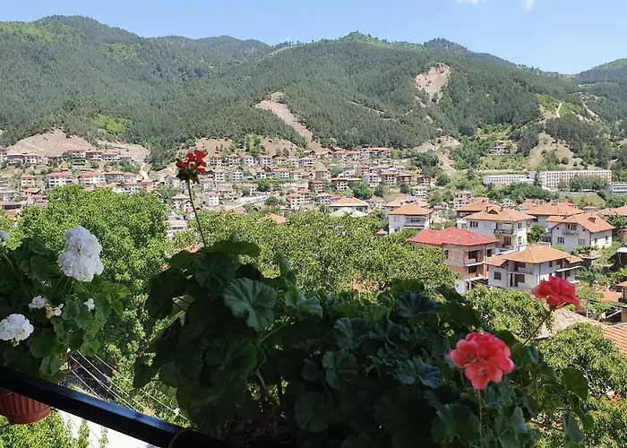 солакови ** ゲストハウス 4*