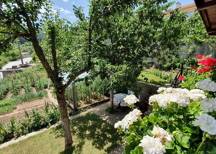 ゲストハウス солакови ** デヴィン