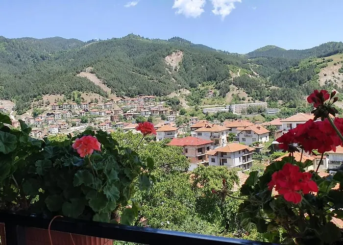 солакови ** 4*